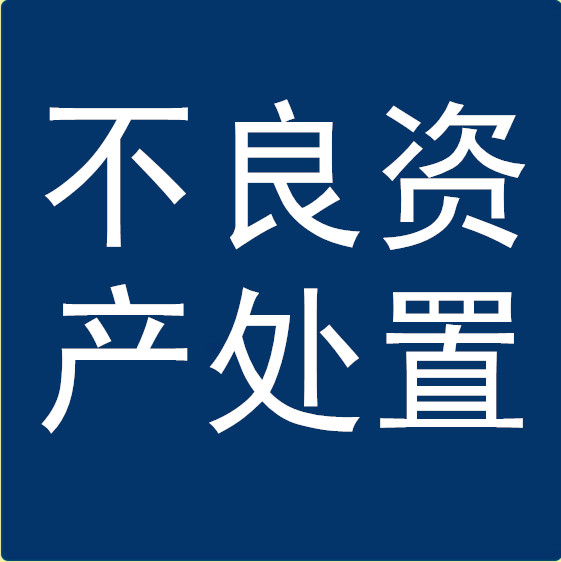 �����ʲ�����